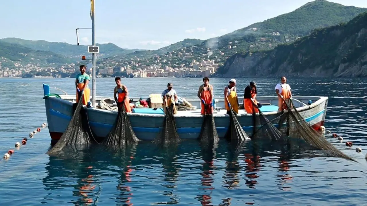 Stella Marina Hotel Camogli